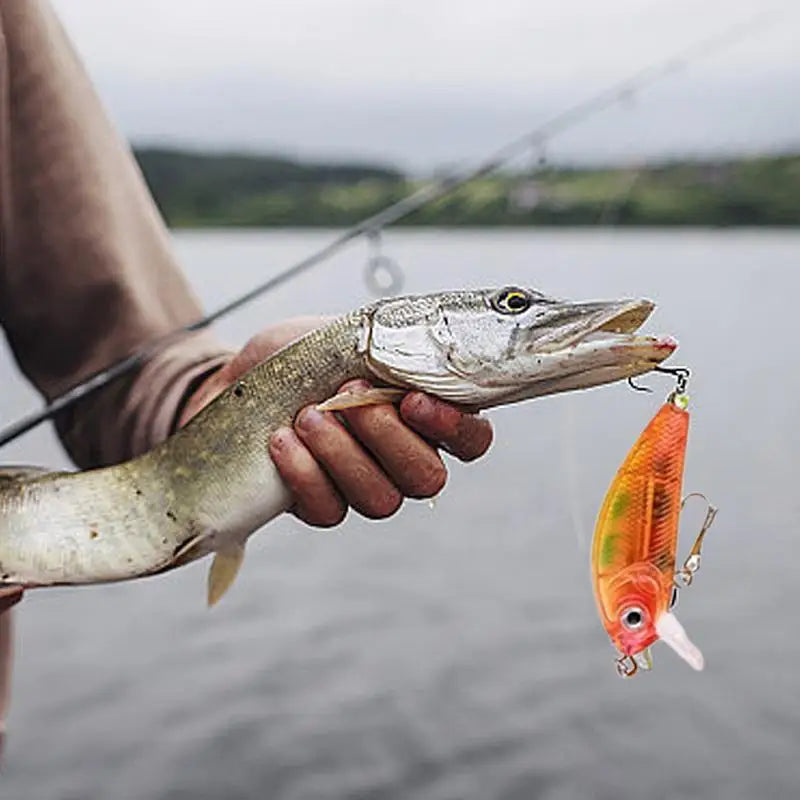 24 Days Christmas Advent Calendar 2024 Fishing Christmas Countdown Calendar Fish Bait Christmas Calendar for Christmas Gifts