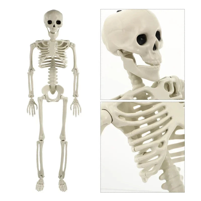 Halloween Skeleton Decoration Full Body Poseable Plastic Skeleton for Yard Garden Patio Haunted House Spooky Skeleton Prop