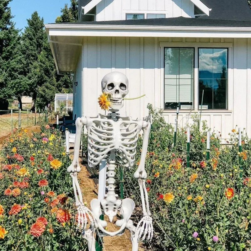 Halloween Skeleton Decoration Full Body Poseable Plastic Skeleton for Yard Garden Patio Haunted House Spooky Skeleton Prop