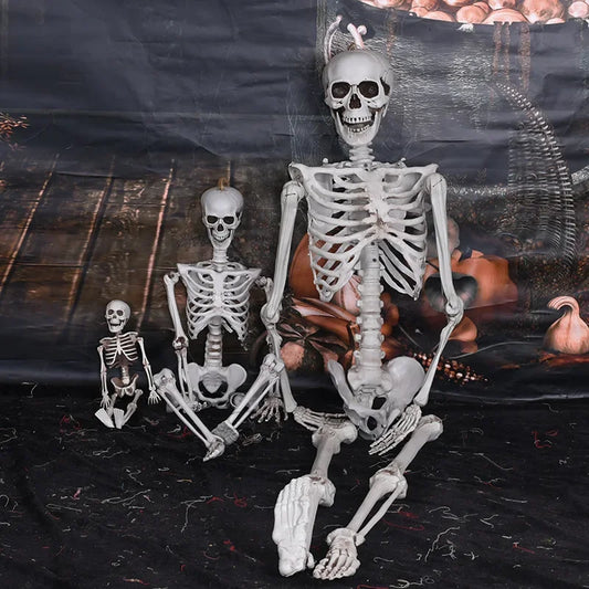 Halloween Skeleton Decoration Full Body Poseable Plastic Skeleton for Yard Garden Patio Haunted House Spooky Skeleton Prop