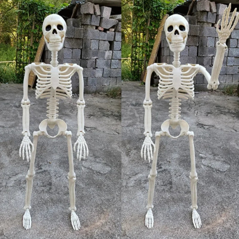 Halloween Skeleton Decoration Full Body Poseable Plastic Skeleton for Yard Garden Patio Haunted House Spooky Skeleton Prop