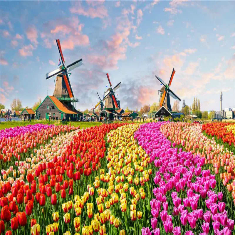 500 Pieces Jigsaw Puzzle Various Landscape Patterns Jigsaw Puzzle Educational Toy for Kids Children 's Games Christmas Gift